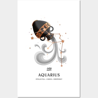 Aquarius Constellation Zodiac Series Posters and Art